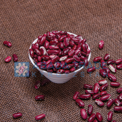 Krasavchik Beans